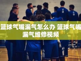 篮球气嘴漏气怎么办 篮球气嘴漏气维修视频