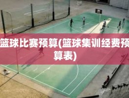 篮球比赛预算(篮球集训经费预算表)