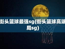 街头篮球最强sg(街头篮球高端局sg)