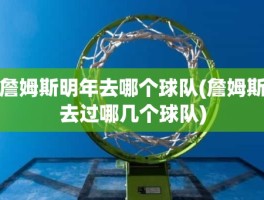 詹姆斯明年去哪个球队(詹姆斯去过哪几个球队)