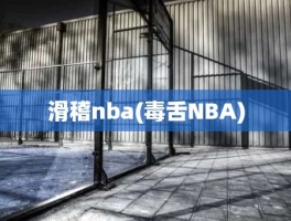 滑稽nba(毒舌NBA)