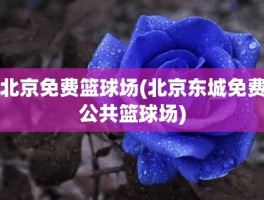 北京免费篮球场(北京东城免费公共篮球场)