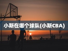 小斯在哪个球队(小斯CBA)