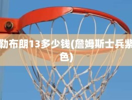 勒布朗13多少钱(詹姆斯士兵紫色)