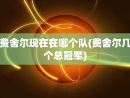 费舍尔现在在哪个队(费舍尔几个总冠军)