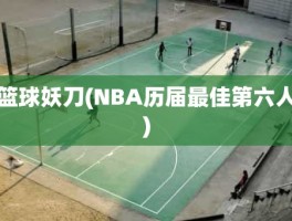 篮球妖刀(NBA历届最佳第六人)