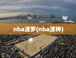 nba波罗(nba波神)