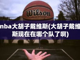 nba大胡子戴维斯(大胡子戴维斯现在在哪个队了啊)