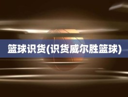 篮球识货(识货威尔胜篮球)