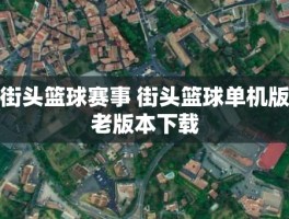 街头篮球赛事 街头篮球单机版老版本下载