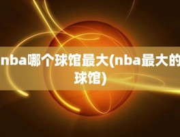 nba哪个球馆最大(nba最大的球馆)