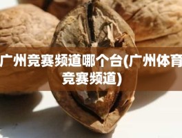 广州竞赛频道哪个台(广州体育竞赛频道)