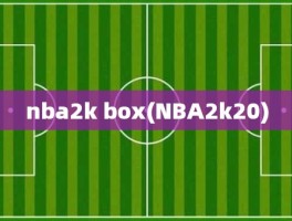 nba2k box(NBA2k20)