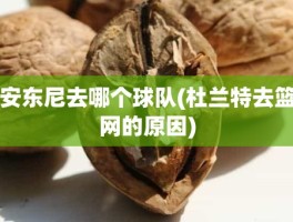 安东尼去哪个球队(杜兰特去篮网的原因)