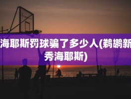 海耶斯罚球骗了多少人(鹈鹕新秀海耶斯)