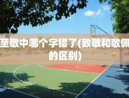 至敬中哪个字错了(致敬和敬佩的区别)