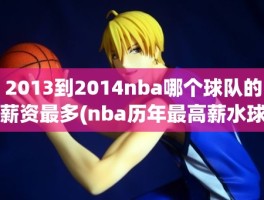 2013到2014nba哪个球队的薪资最多(nba历年最高薪水球员)