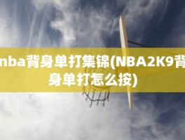 nba背身单打集锦(NBA2K9背身单打怎么按)