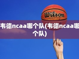 韦德ncaa哪个队(韦德ncaa哪个队)