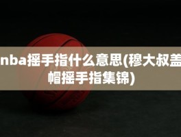 nba摇手指什么意思(穆大叔盖帽摇手指集锦)