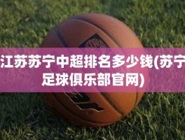 江苏苏宁中超排名多少钱(苏宁足球俱乐部官网)