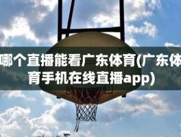 哪个直播能看广东体育(广东体育手机在线直播app)