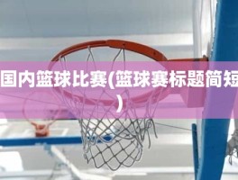 国内篮球比赛(篮球赛标题简短)