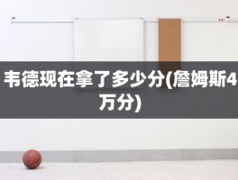 韦德现在拿了多少分(詹姆斯4万分)