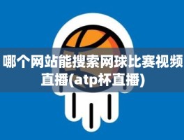 哪个网站能搜索网球比赛视频直播(atp杯直播)