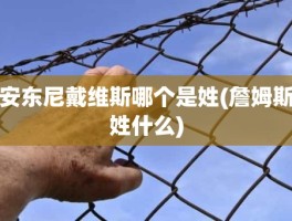 安东尼戴维斯哪个是姓(詹姆斯姓什么)