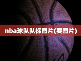 nba球队队标图片(要图片)