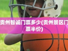 贵州智诚门票多少(贵州景区门票半价)