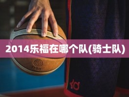 2014乐福在哪个队(骑士队)