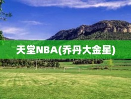 天堂NBA(乔丹大金星)