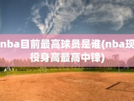 nba目前最高球员是谁(nba现役身高最高中锋)