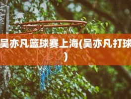 吴亦凡篮球赛上海(吴亦凡打球)