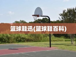 篮球鞋迅(篮球鞋百科)
