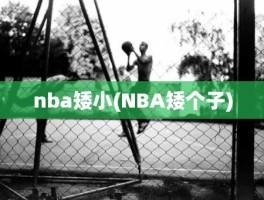 nba矮小(NBA矮个子)