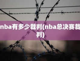 nba有多少裁判(nba总决赛裁判)