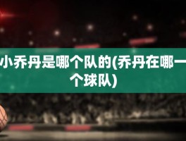 小乔丹是哪个队的(乔丹在哪一个球队)