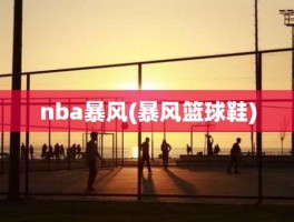 nba暴风(暴风篮球鞋)