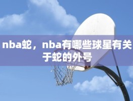 nba蛇，nba有哪些球星有关于蛇的外号