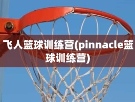 飞人篮球训练营(pinnacle篮球训练营)