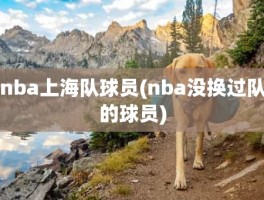 nba上海队球员(nba没换过队的球员)