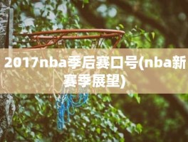 2017nba季后赛口号(nba新赛季展望)