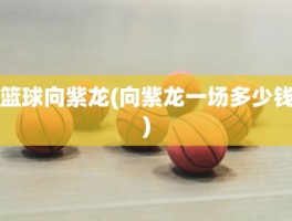 篮球向紫龙(向紫龙一场多少钱)