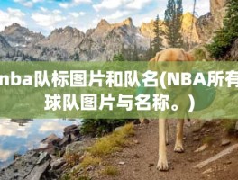 nba队标图片和队名(NBA所有球队图片与名称。)