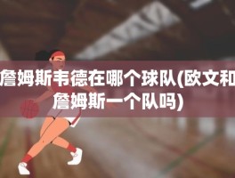 詹姆斯韦德在哪个球队(欧文和詹姆斯一个队吗)