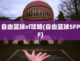 自由篮球sf攻略(自由篮球SFPF)