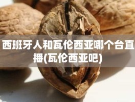 西班牙人和瓦伦西亚哪个台直播(瓦伦西亚吧)